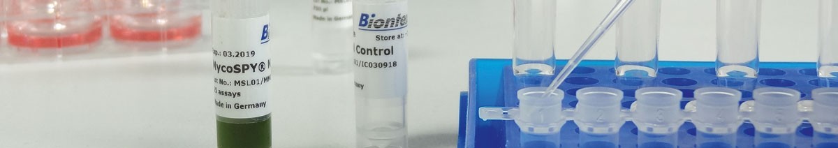 PCR Kit for detection of mycoplasmas MycoSPY from Biontex 