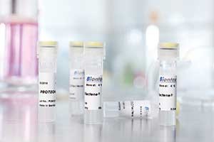 Proteofection reagent PROTEOfectene® from Biontex