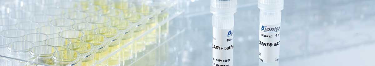 Transfection reagent METAFECTENE® EASY⁺ from Biontex
