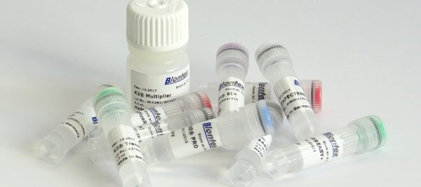 Selection aid for a suitable transfection reagent | Biontex